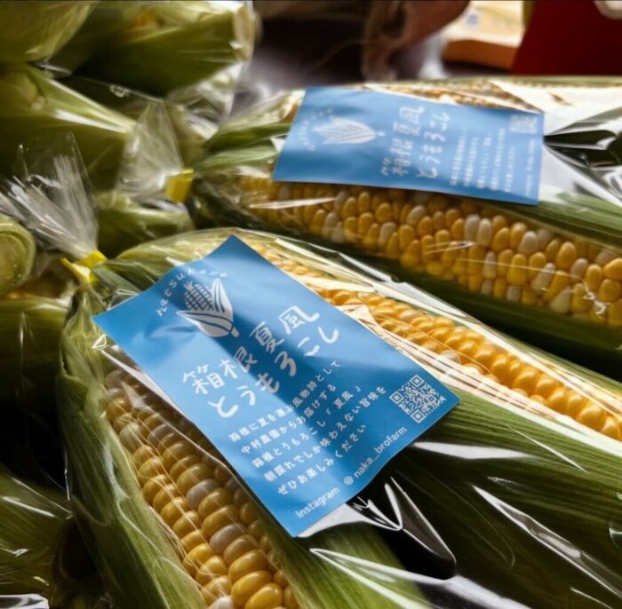 完売必至の200セットを限定販売！箱根西麓で育った新鮮な朝どれ「箱根夏風とうもろこし」販売会を開催します。